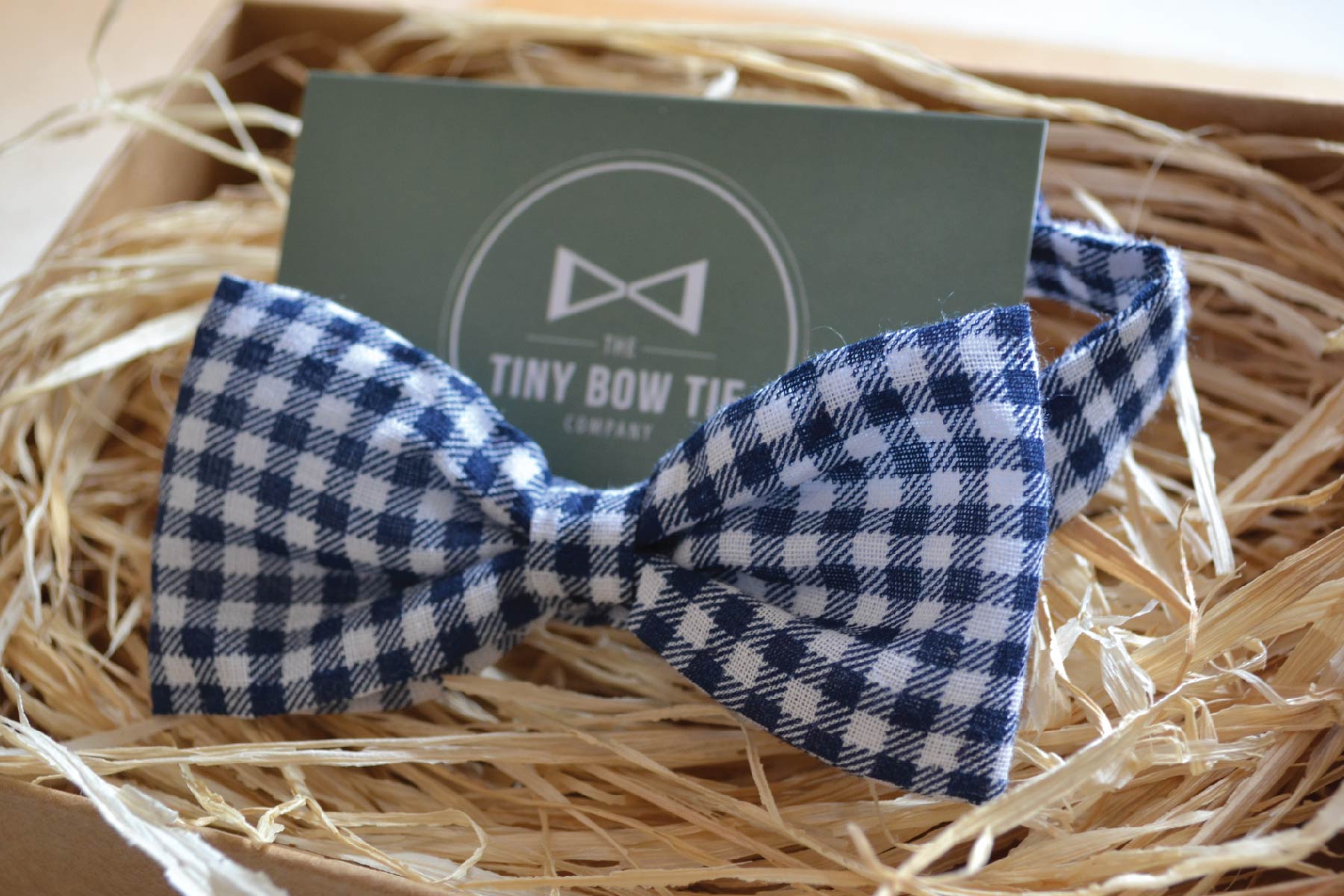 Navy Gingham Bow Tie